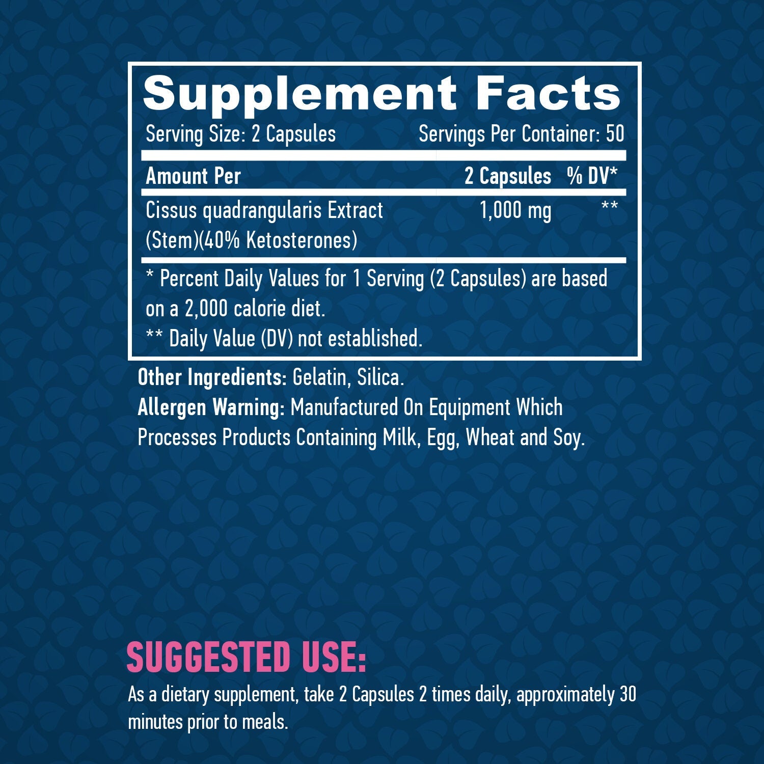 Cissus 500mg / 100 Caps  Haya Labs - Nutra Best Bulgaria