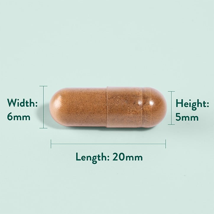 Nutra Best Bulgaria