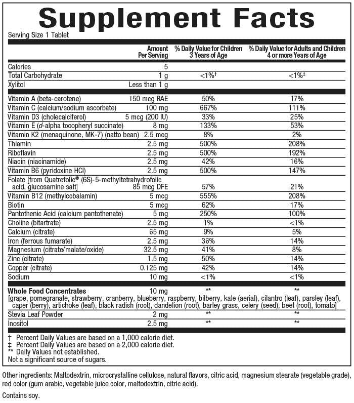 Big Friends Children's Chewable Multivitamin 60 Дъвчащи таблетки  Natural Factors - Nutra Best Bulgaria