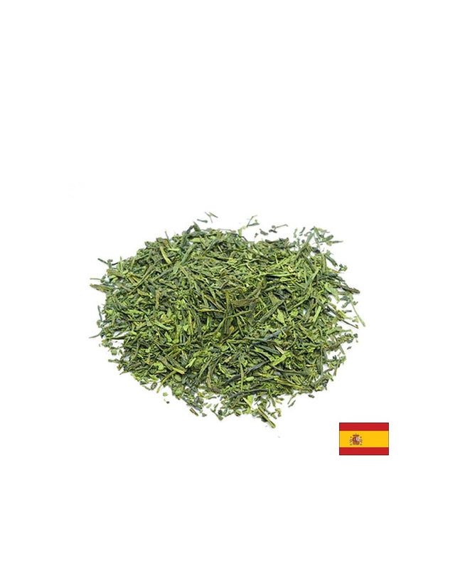 Чай матча, БИО, 1 kg  Herbes del Molí - Nutra Best Bulgaria