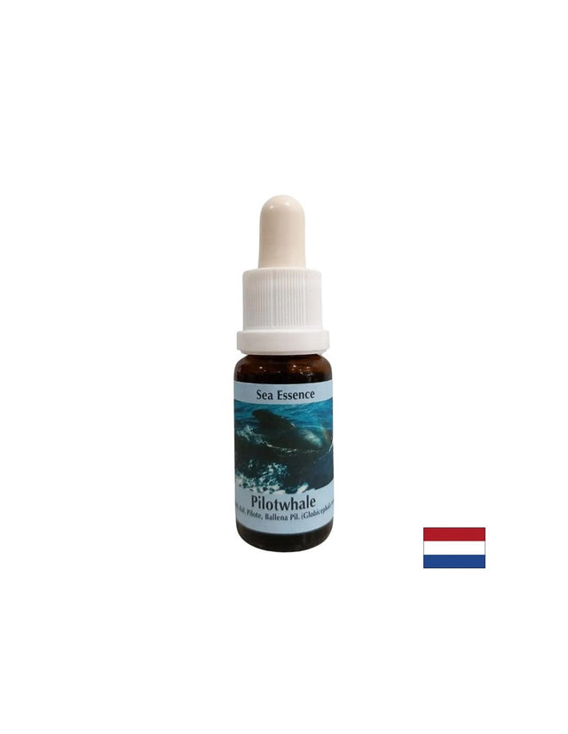 За медитация - Есенция Черна гринда № 10, капки 15 ml  PHI Essences - Nutra Best Bulgaria