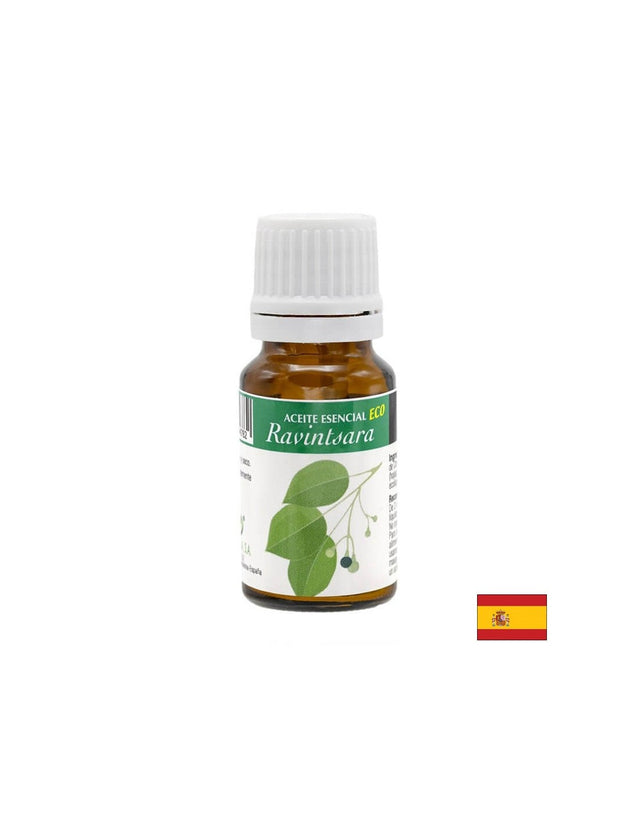 Етерично масло от камфорово дърво, 10 ml  Artesania Agricola - Nutra Best Bulgaria