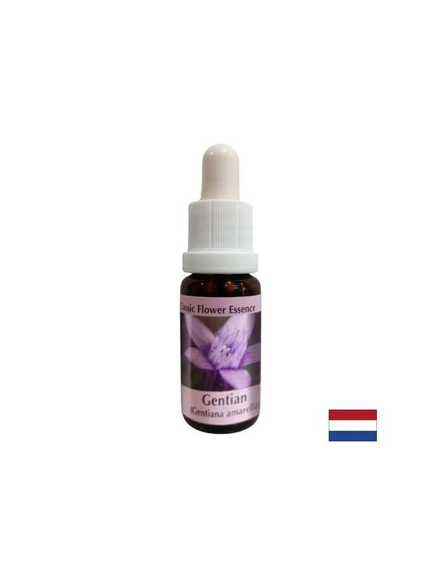 Дава увереност - Есенция Тинтява № 12, капки 15 ml  PHI Essences - Nutra Best Bulgaria