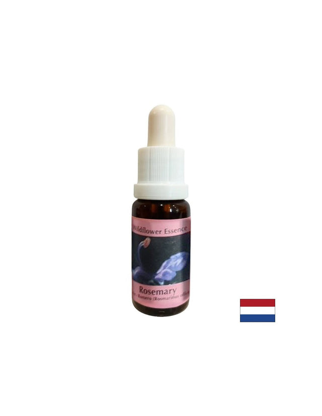Стимулира енергията и концентрацията - Есенция Розмарин № 13, капки 15 ml  PHI Essences - Nutra Best Bulgaria