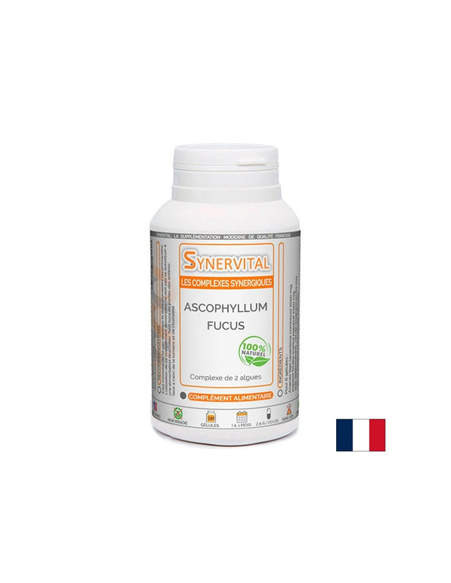 Отслабване и щитовидна жлеза - Фукус (кафяви водорасли) 146 mg, 60 капсули  PhytoMoinsCher - Nutra Best Bulgaria