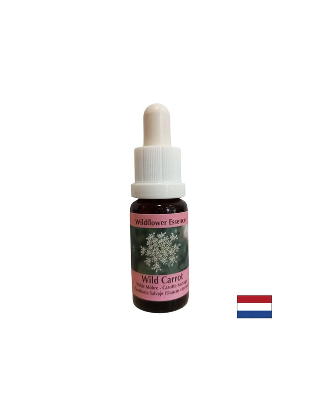 Успокоява ума - Есенция Див морков, капки 15 ml  PHI Essences - Nutra Best Bulgaria