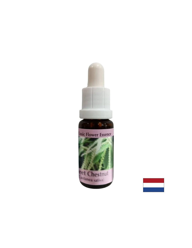 При отчаяние и безизходица - Есенция Сладък кестен, капки 15 ml  PHI Essences - Nutra Best Bulgaria