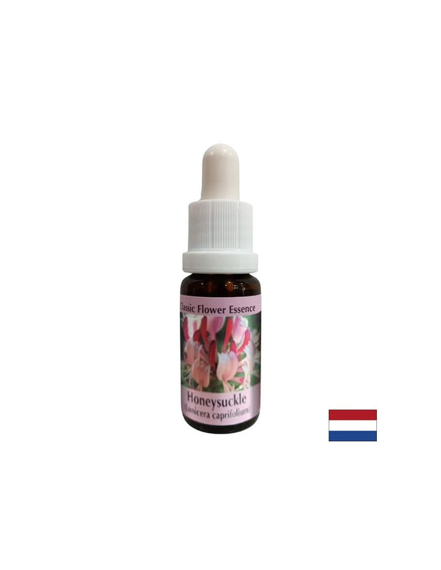 Насърчава позитивността - Есенция Орлови нокти № 16, капки 15 ml  PHI Essences - Nutra Best Bulgaria