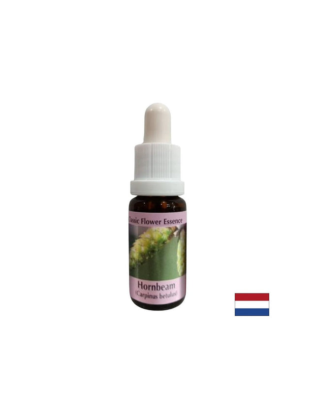 За повече енергия и мотивация - Есенция Габър № 17, капки 15 ml  PHI Essences - Nutra Best Bulgaria