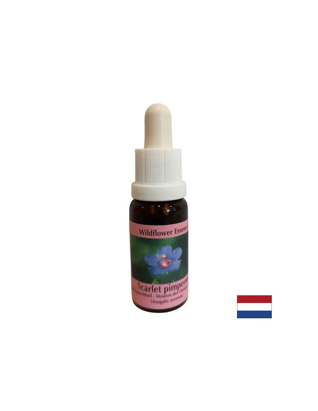За самоопознаване и интеграция - Есенция Полско огнивче № 21, капки 15 ml  PHI Essences - Nutra Best Bulgaria