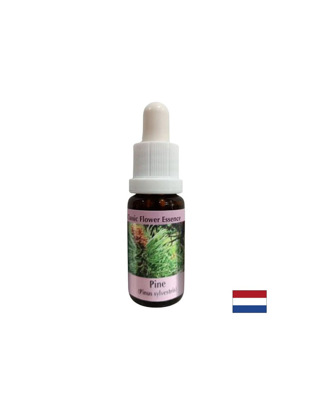 При чувство на вина - Есенция Бор № 24, капки 15 ml  PHI Essences - Nutra Best Bulgaria