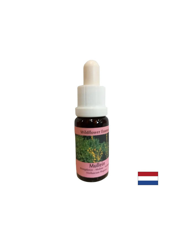 Подпомага екипната работа и творчеството - Есенция Лопен № 29, капки 15 ml  PHI Essences - Nutra Best Bulgaria