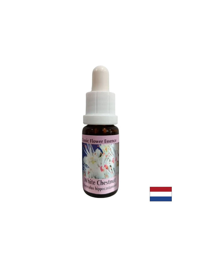 При натрапчиви мисли - Есенция Конски кестен № 35, капки 15 ml  PHI Essences - Nutra Best Bulgaria