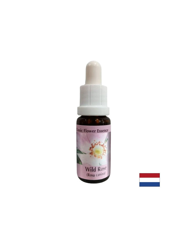 Повишава активността и мотивацията - Есенция Шипка № 37, капки 15 ml  PHI Essences - Nutra Best Bulgaria