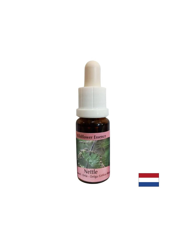 Есенция Коприва №44 – Хармония в общуването и работа в екип, 15 ml капки  PHI Essences - Nutra Best Bulgaria