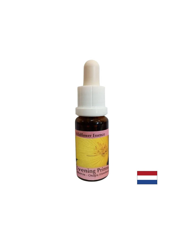 Есенция Вечерна иглика №50 – Вътрешен покой и усещане за защитеност, 15 ml капки  PHI Essences - Nutra Best Bulgaria