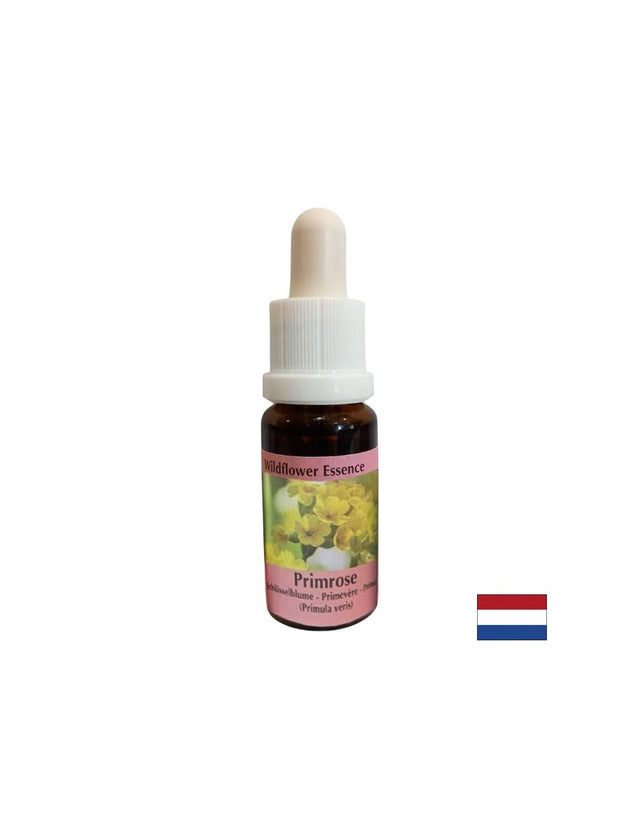 Есенция Иглика №57 – Творчески поток и вдъхновение, 15 ml капки  PHI Essences - Nutra Best Bulgaria