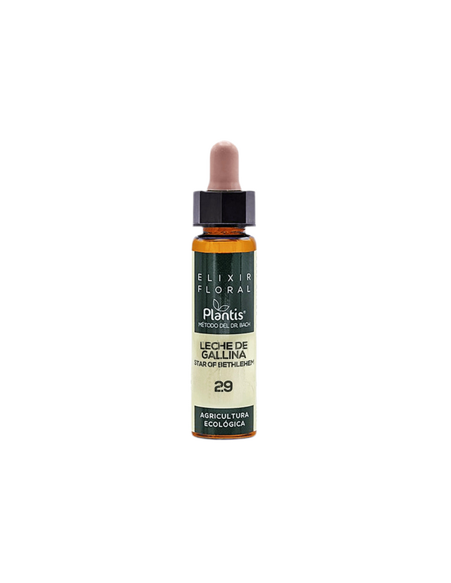 Leche de gallina (Star of Bethlehem) Elixir Floral 29 - Цветен еликсир от витлеемска звезда, 10 ml Artesania - Nutra Best Bulgaria