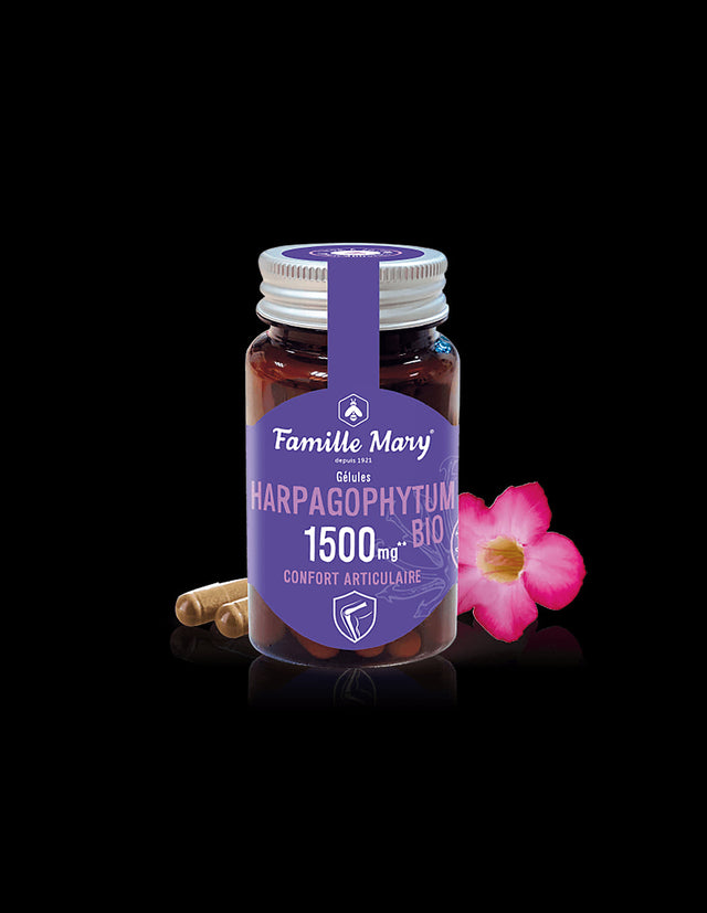 Дяволски нокът Био - Стави, 60 капсули  Famille Mary - Nutra Best Bulgaria