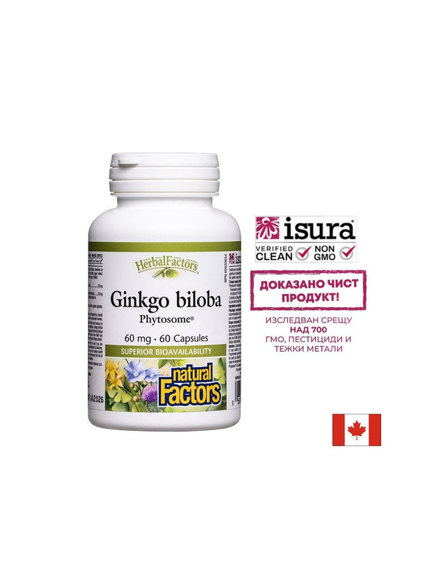 Памет и концентрация - Гинко билоба Фитозоми, 60 mg x 60 капсули  Natural Factors - Nutra Best Bulgaria
