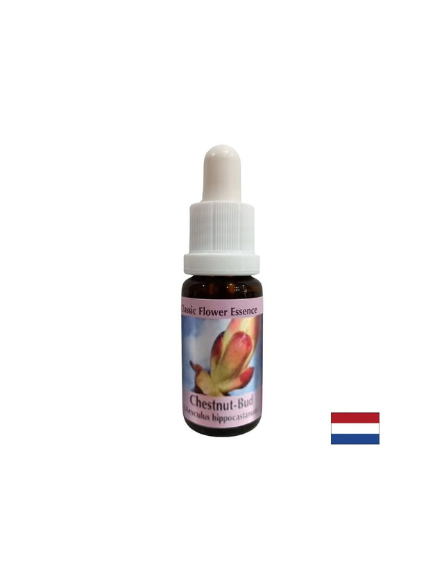 Премахва енергийните блокажи - Есенция Кестенови пъпки № 7, капки 15 ml  PHI Essences - Nutra Best Bulgaria