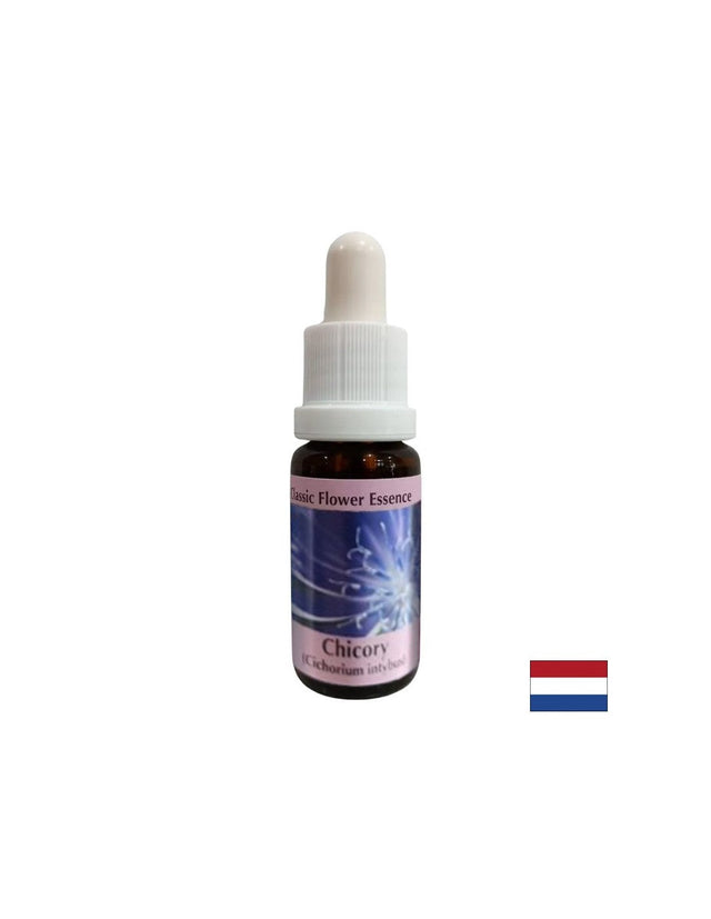 За фокусиране върху себе си - Есенция Цикория № 8, капки 15 ml  PHI Essences - Nutra Best Bulgaria