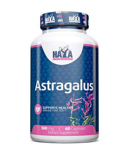 Astragalus 500mg. / 60 caps.  Haya Labs - Nutra Best Bulgaria