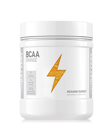 BCAA - 0.500 kg  BATTERY - Nutra Best Bulgaria