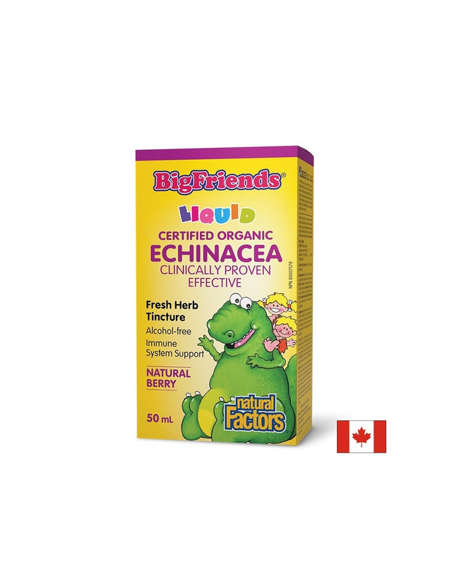 Ехинацея BigFriends® – Имунна подкрепа за деца и възрастни, 1000 mg, 50 ml  Natural Factors - Nutra Best Bulgaria