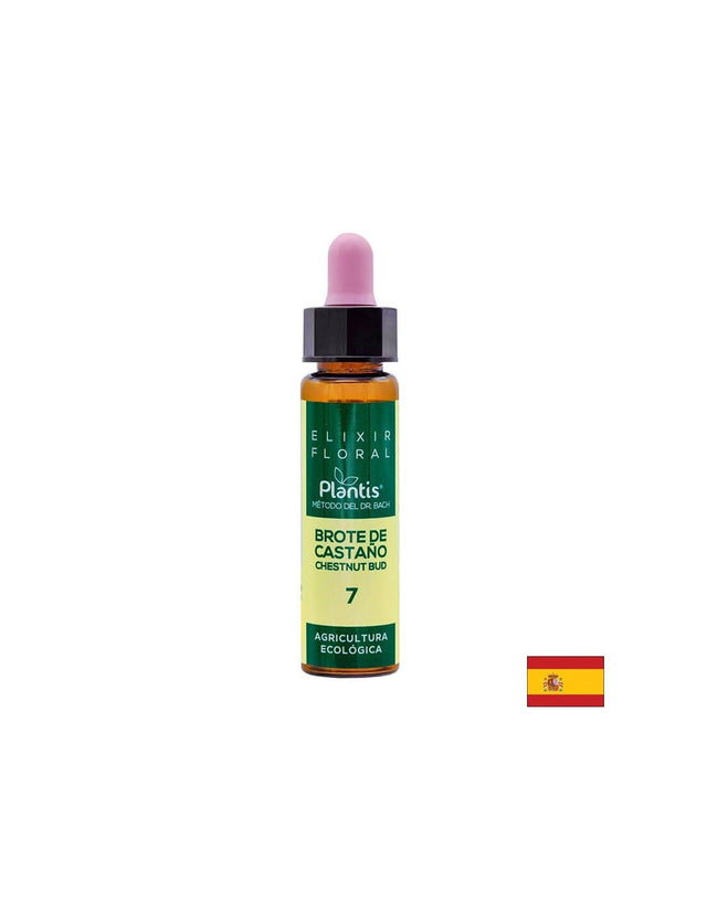 Brote de castaño (Chestnut but) Elixir Floral 7 - Цветен еликсир от кестенова пъпка, 10 ml Artesania  Artesania Agricola - Nutra Best Bulgaria