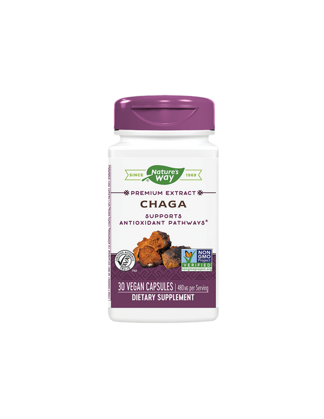 Chaga / Чага 480 mg x 30 капсули Nature’s Way  Nature’s Way - Nutra Best Bulgaria