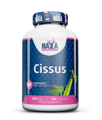 Cissus 500mg / 100 Caps  Haya Labs - Nutra Best Bulgaria