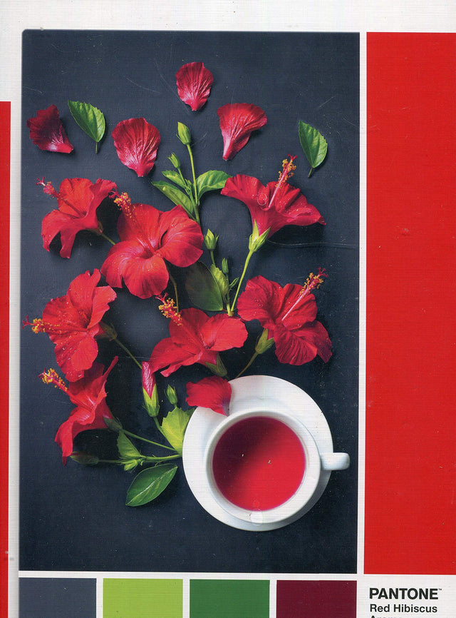 Clementoni, Pantone, Goji Berry, Puzzle, Unisex, 1000 pcs  Clementoni - Nutra Best Bulgaria
