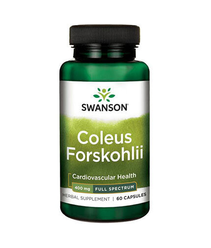 Coleus Forskohlii / Forskolin 400 mg - 60 капсули  Swanson - Nutra Best Bulgaria