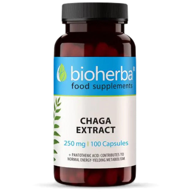 Full Spectrum Chaga Mushroom - 100 капсули  Bioherba - Nutra Best Bulgaria