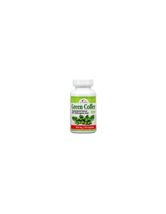 Green Coffee/ Зeлено кафе 500 mg x 60 капсули  Natural Factors - Nutra Best Bulgaria