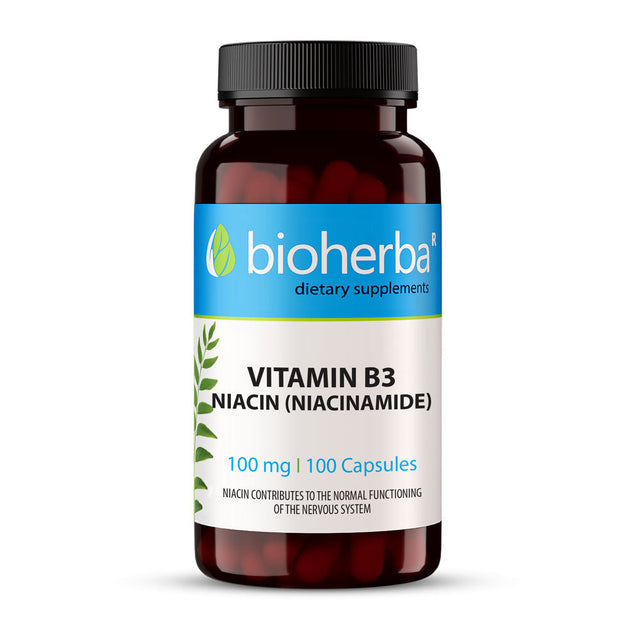 Vitamin B3 | Niacin 100 mg - 100 капсули - Nutra Best Bulgaria