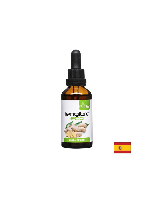 Jengibre Eco – Джинджифил (тинктура), 50 ml Artesania  Artesania Agricola - Nutra Best Bulgaria