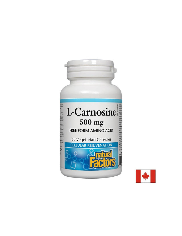L-Carnosine/ Л-Карнозин 500 mg х 60 капсули Natural Factors  Natural Factors - Nutra Best Bulgaria