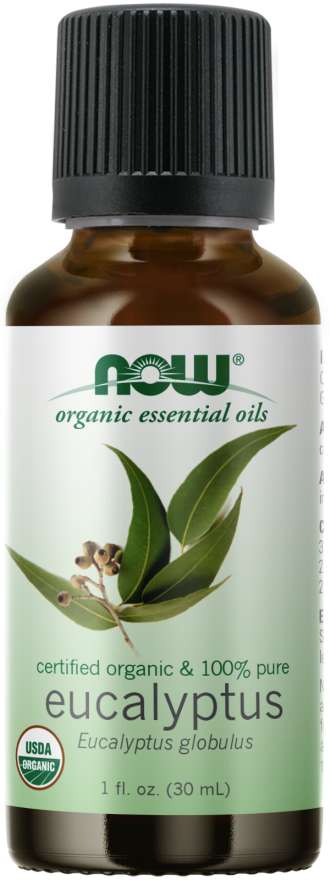 Био масло от евкалипт - Oragnic Eucalyptus Globulus Oil - 30 ml  NOW Foods - Nutra Best Bulgaria