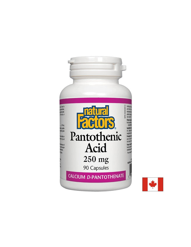 Pantothenic Acid 250 mg - 90 капсули  Natural Factors - Nutra Best Bulgaria