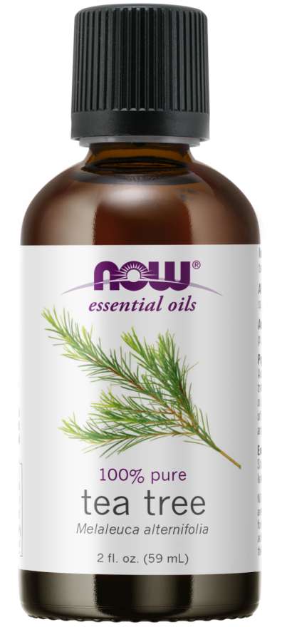 Масло от чаено дърво - Tea Tree Oil - 59 ml  NOW Foods - Nutra Best Bulgaria