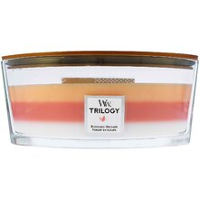 WoodWick - Blooming Orchard Trilogy Ship ( Blooming Orchard ) - 453.6g  WoodWick - Nutra Best Bulgaria