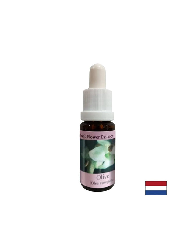 Възстановява силите - Есенция Маслина № 23, капки 15 ml - Nutra Best Bulgaria